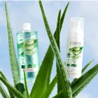 Apa micelara cu aloe vera Eveline Cosmetics Organic Aloe Vera + Collagen